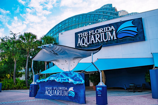 VISIT IN TAMPA